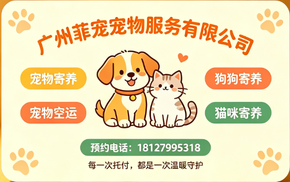 广州菲宠韶关线上分站